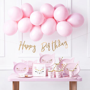 Party decorations set with Kittens Cats Blush Pink theme